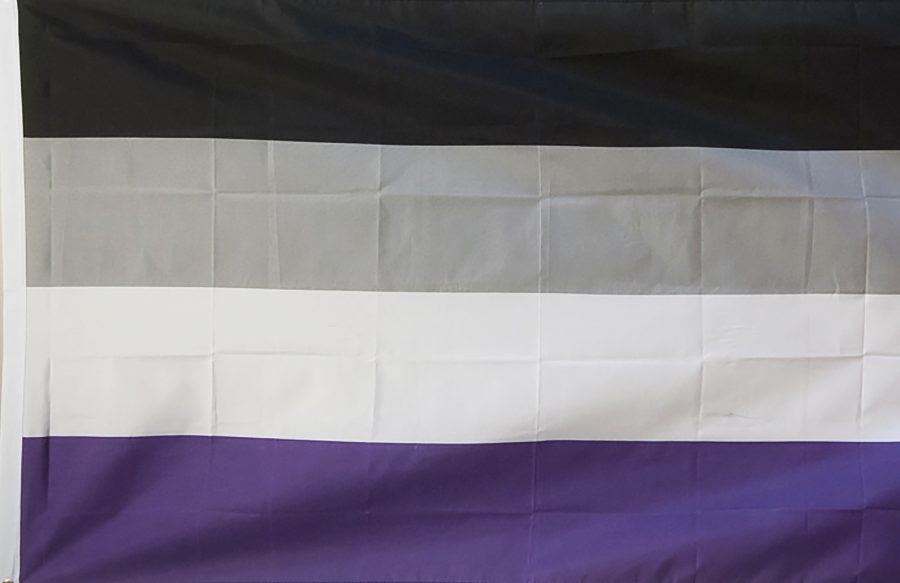 Q&A: An asexual student speaks about her experiences