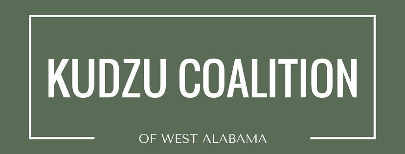 Kudzu Coalition holds fundraiser and talk on social issues