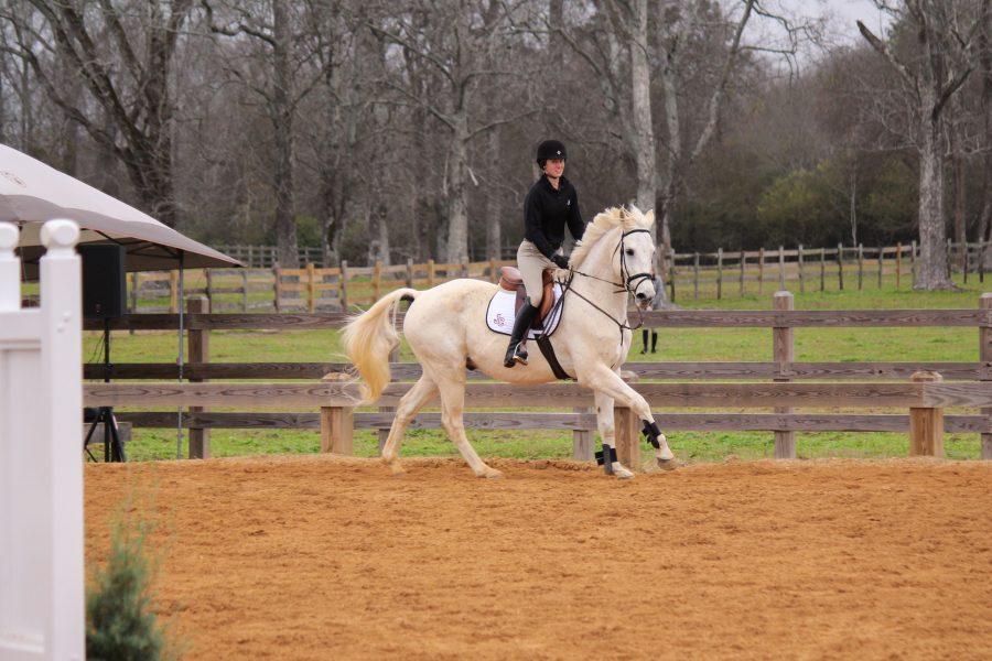 Alabama equestrian gives back to the community