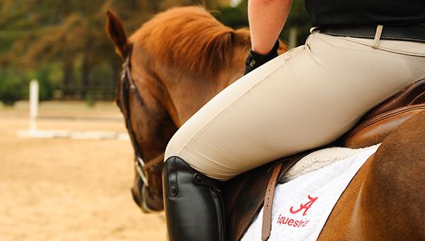 New kinesiology class offers horseback riding to beginners
