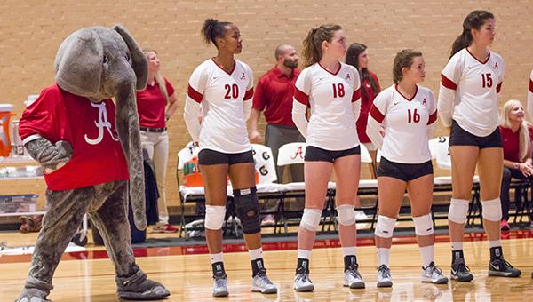 Volleyball to open SEC play