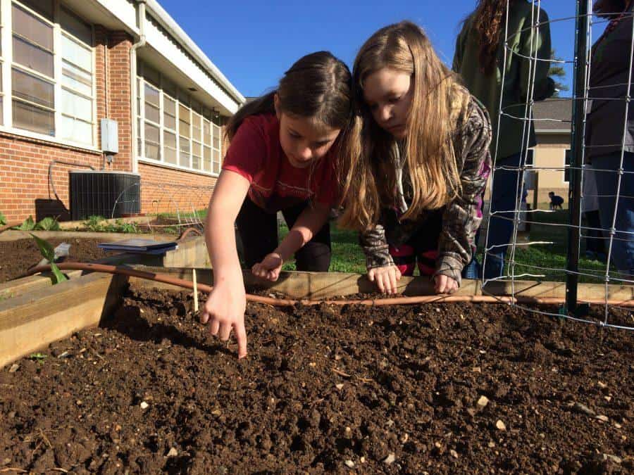 Schoolyard Roots takes class out to the garden