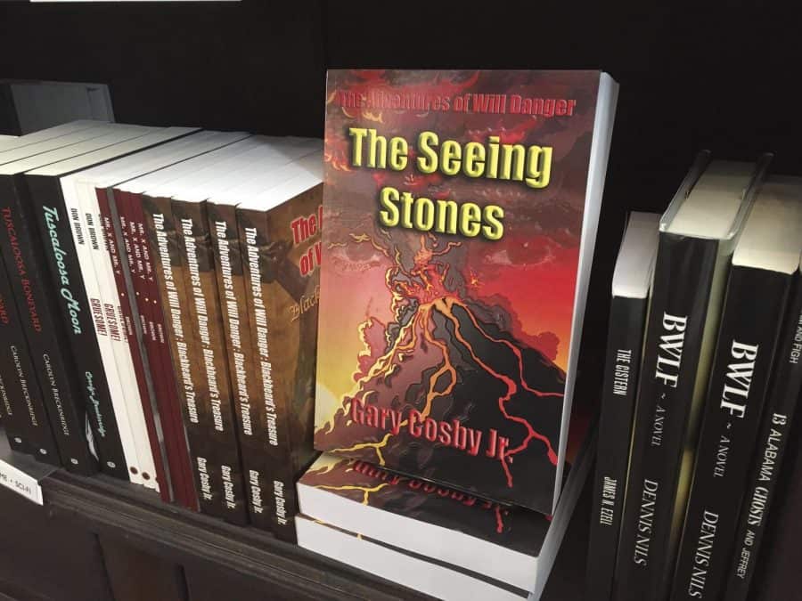 Local author writes first novel series