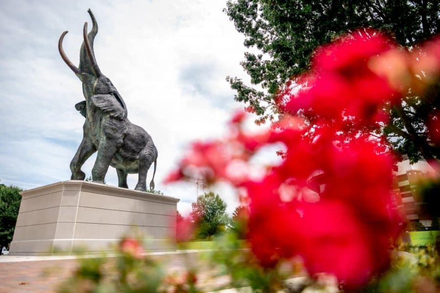 Tuska was installed at the corner of Wallace Wade Avenue and University Boulevard in April 2021.