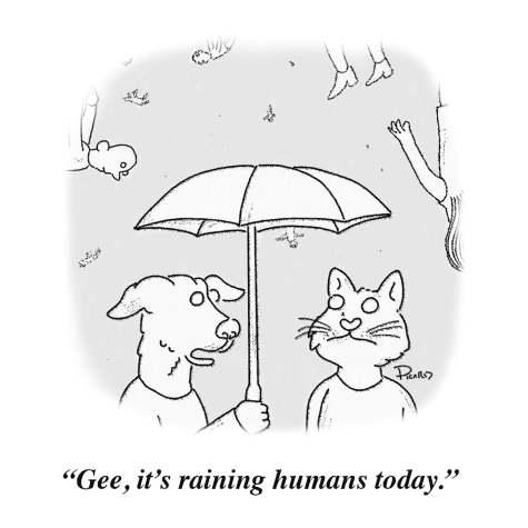 A dog and cat stand together under an umbrella, humans fall from the sky behind them. The dog remarks, Gee, its raining humans today.