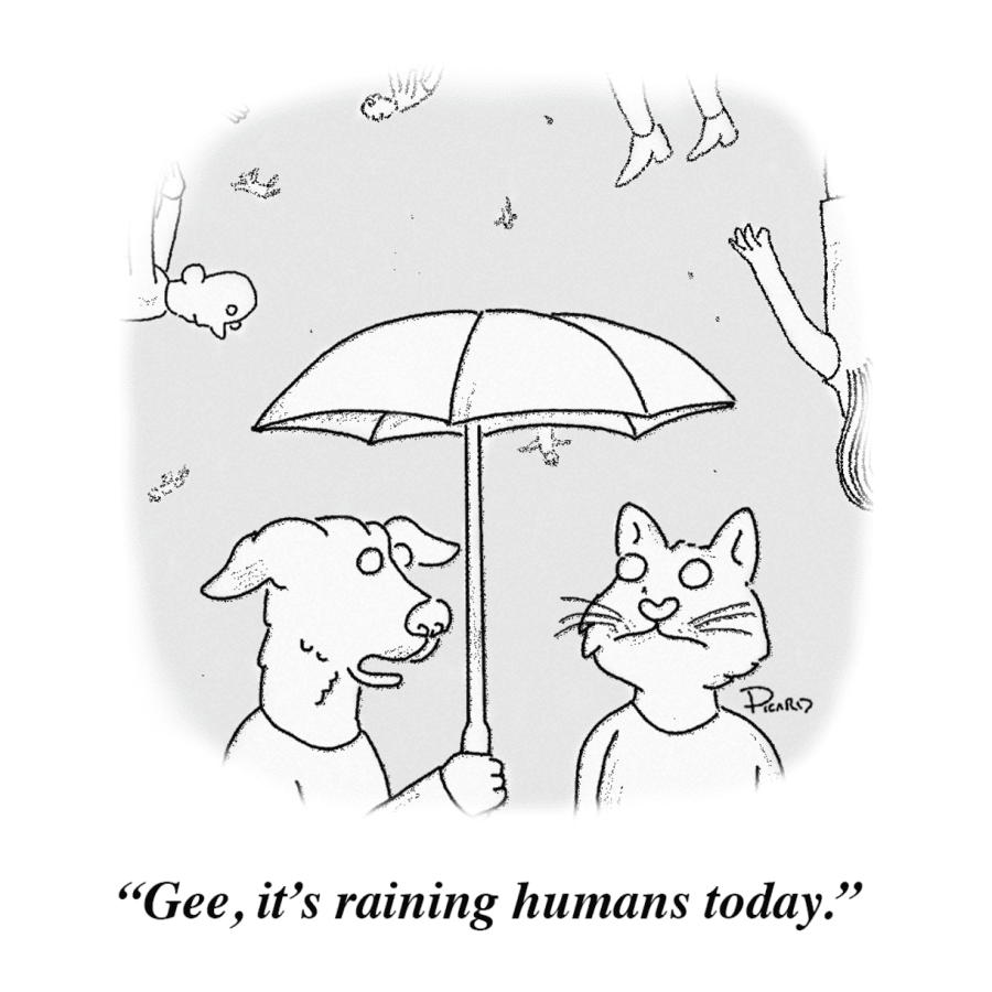 A+dog+and+cat+stand+together+under+an+umbrella%2C+humans+fall+from+the+sky+behind+them.+The+dog+remarks%2C+Gee%2C+its+raining+humans+today.